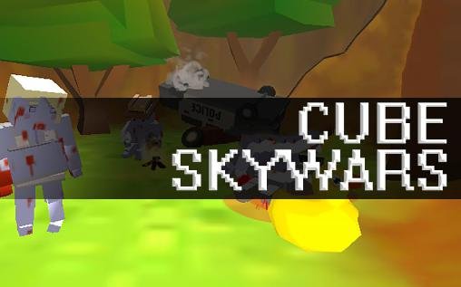 download Cube skywars apk